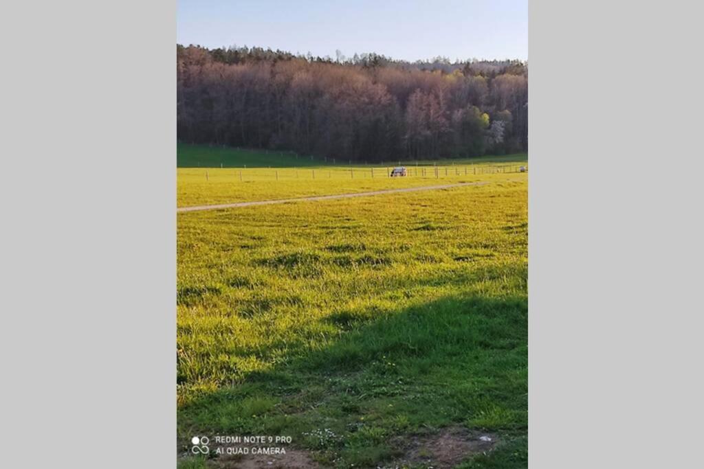 Schoene Helle Ferienwohnung In Waldnaehe Берхинг Экстерьер фото